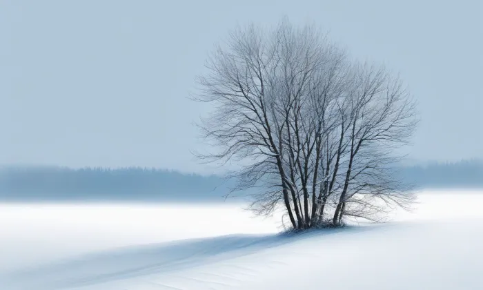 Kostel svatého Jiří v Chřibské – winter