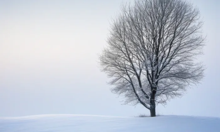 Kostel svatého Jiljí (Markvartice) – winter
