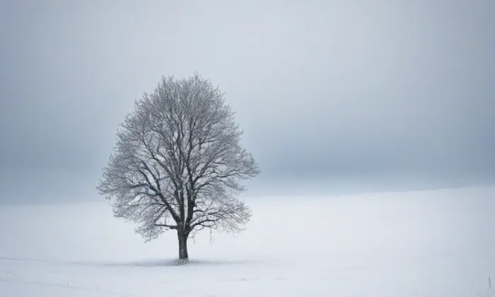 Kostel svatého Kříže (Ronov nad Doubravou) – winter