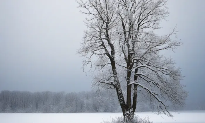 Kostel svatého Martina (Řepy) – winter