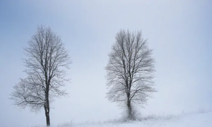 Kostel svatého Martina (Mlékojedy) – winter