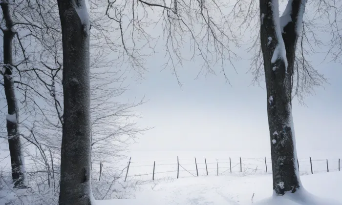 kostel svatého Martina z Tours (Zbýšov) – winter