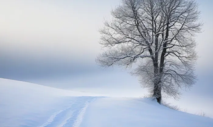 kostel svatého Michaela (Licibořice) – winter