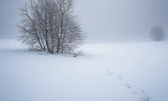 Kostel svatého Michala (Rýmařov) – winter