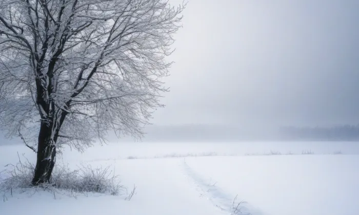 Kostel svatého Pankráce v Praze – winter