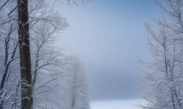 kostel svatého Petra a Pavla (Bernartice) – winter