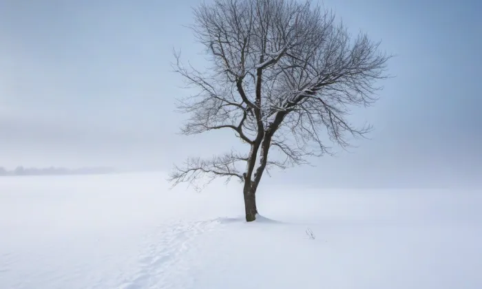Kostel svatého Petra na Poříčí – winter