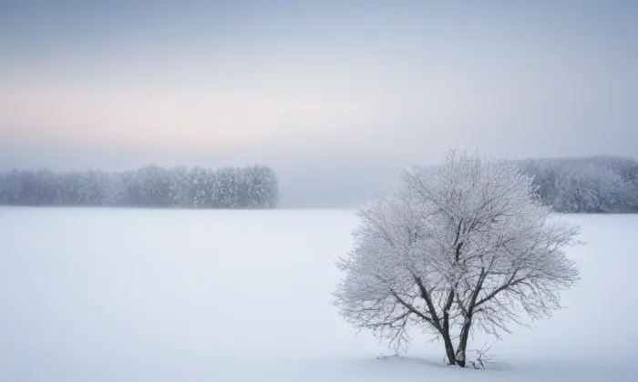 Kostel svatého Prokopa (Hodkovice nad Mohelkou) – winter