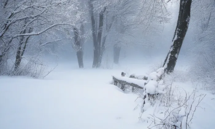 Kostel svatého Rocha (Praha 3) – winter