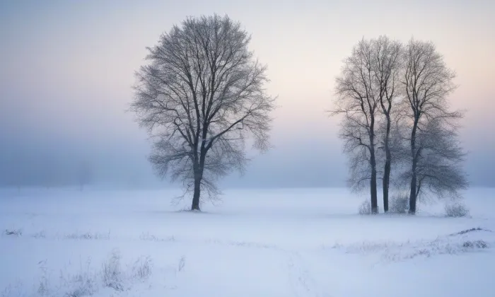 Kostel svatého Víta (Borovnice) – winter