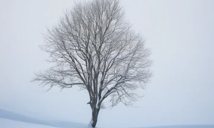 Kostel svatého Vavřince (Podlesice) – winter