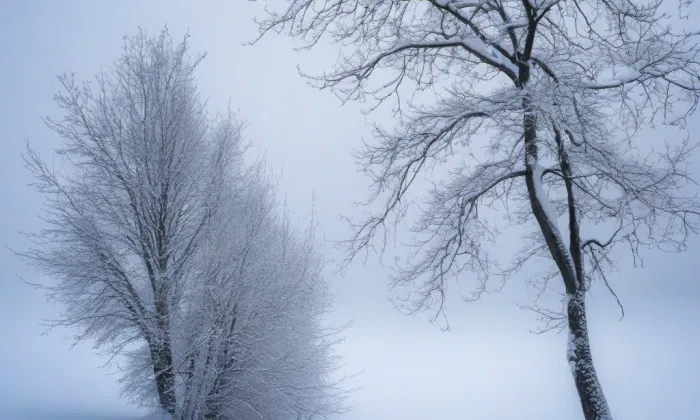Kostel svatého Vavřince v Náchodě – winter