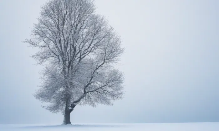 Kostel svatého Vojtěcha (Vlčice) – winter