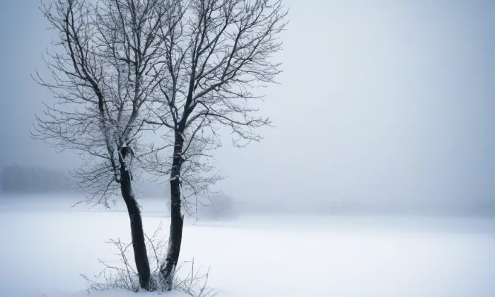 Kostel Všech svatých (Lázně Bělohrad) – winter