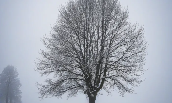 kostel Zvěstování Panny Marie (Veletov) – winter