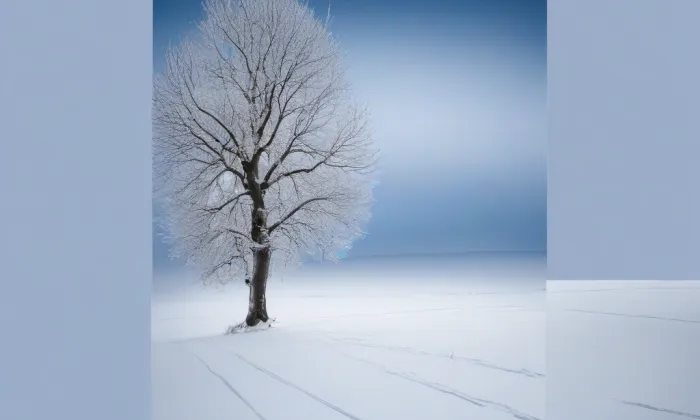 Lázně II. / Císařské – winter