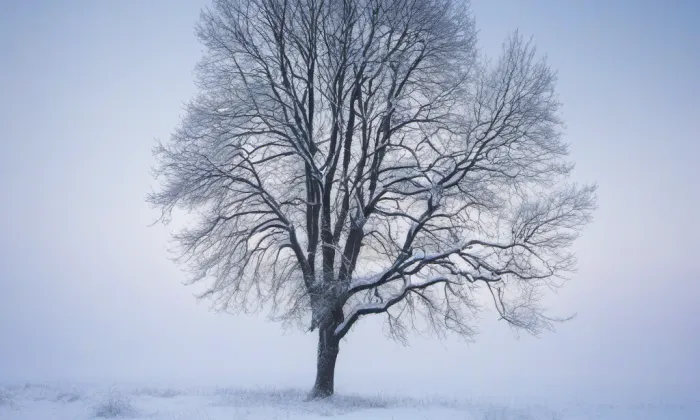 Mariánská Týnice – winter