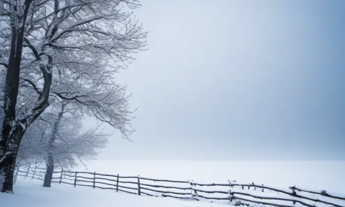 Minoritský klášter v Jindřichově Hradci – winter