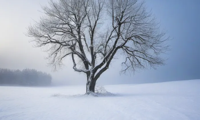 Mirošovice – winter