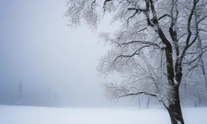 Musconský palác – winter