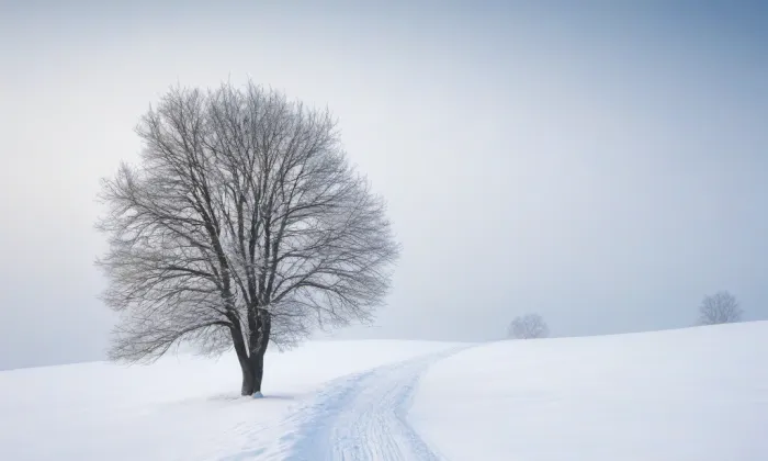 Národní dům na Smíchově – winter