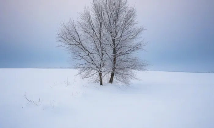 Nová řeka – winter
