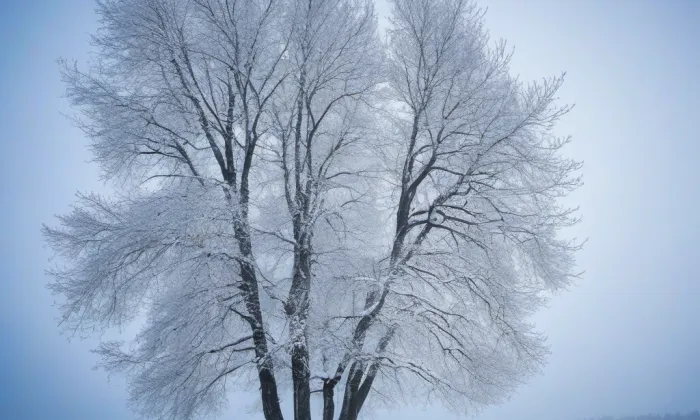 NW Präsident – winter