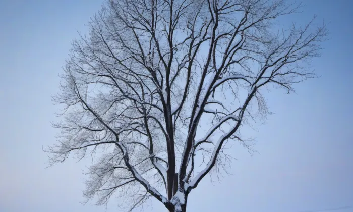 Piaristická kolej a gymnázium v Praze – winter