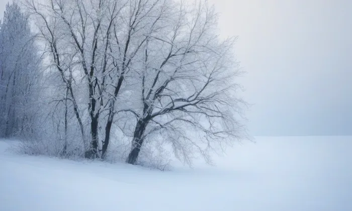 rozvodna Slavětice – winter