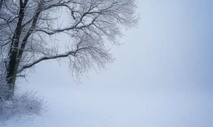 Sady U Muzea – winter