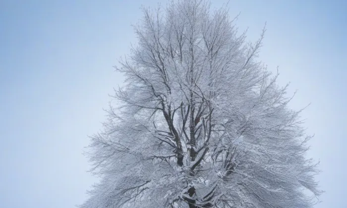 Schwarzenberská hrobka v Domaníně – winter