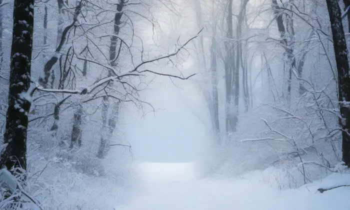Skalský Dvůr – winter