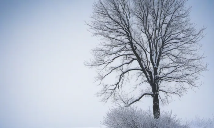 Sladovna – winter