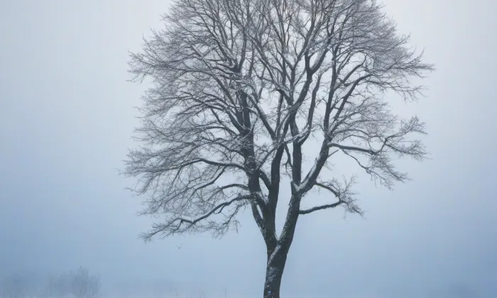 Slavín – winter