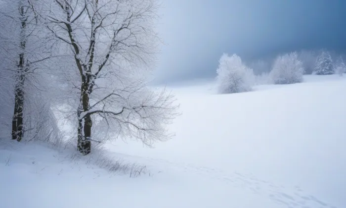 sochy Ctností a Neřestí na zámku Kuks – winter