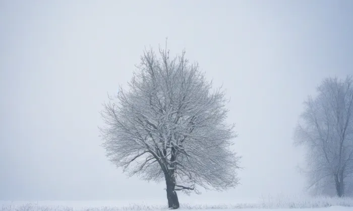 Společenský dům Luhačovice – winter
