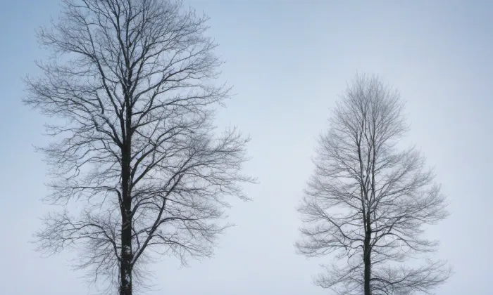 Starý Rybník – winter