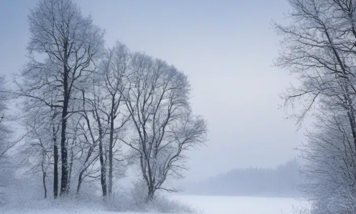 Svinná – winter