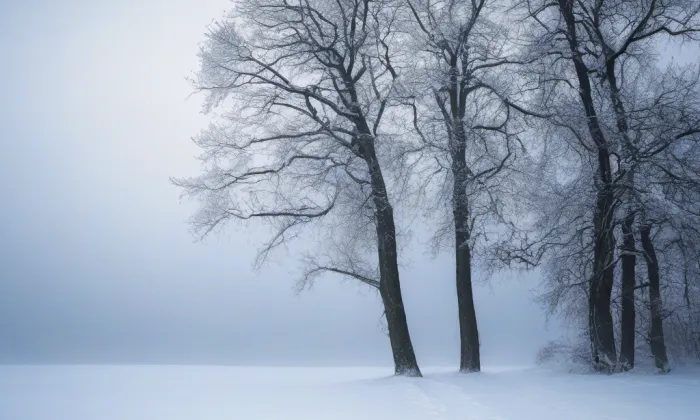 Terezská brána – winter