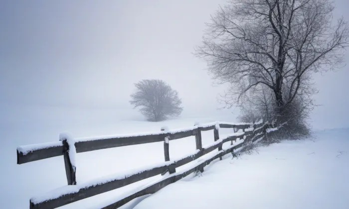 Vila Hanse Weinmanna – winter