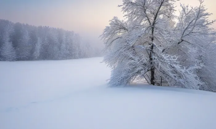 Vrtba – winter