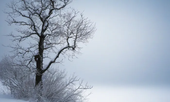 Vysoký Újezd – winter