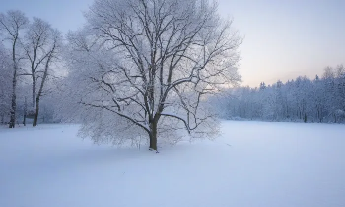 zámecký park ve Vrchotových Janovicích – winter
