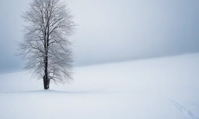 zámek Bílina – winter