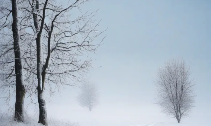zámek Chvatěruby – winter