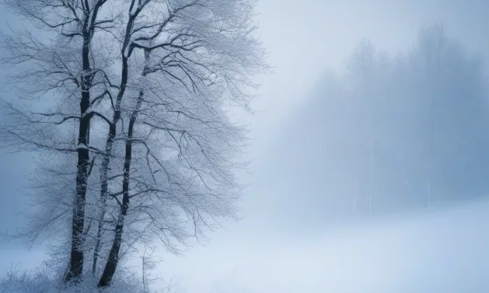 Zámek Dívčí Hrad – winter