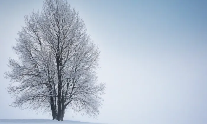 Zámek Hošťálkovy – winter