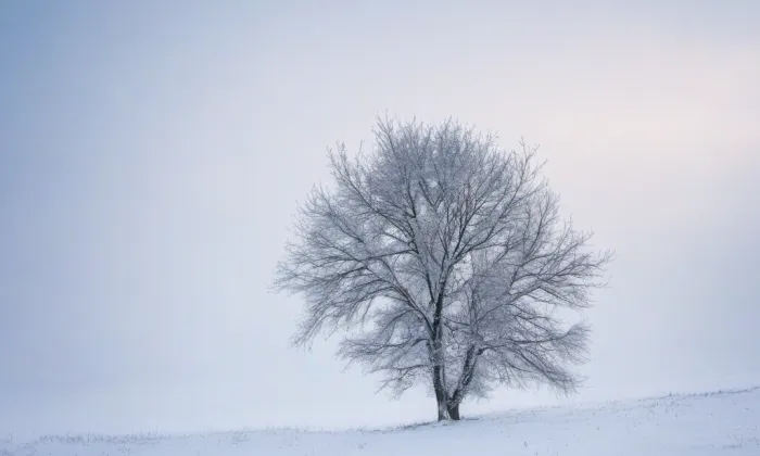 zámek Jičíněves – winter