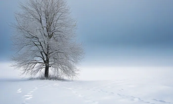 Zámek Litenčice – winter