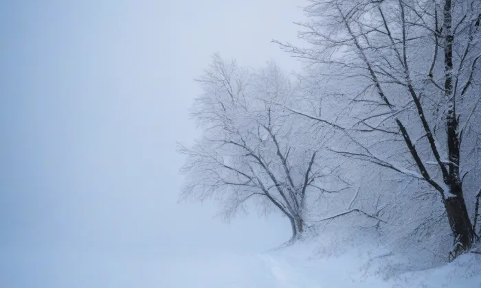 zámek Lomnice nad Popelkou – winter